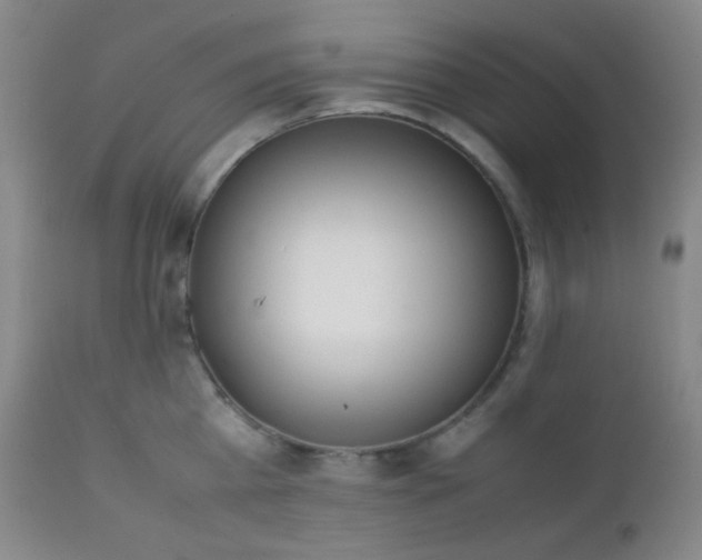 X0000111150809200906301336