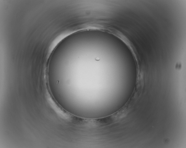 X0000111150811200906301336