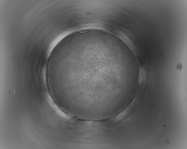 X0000111150812200906301336