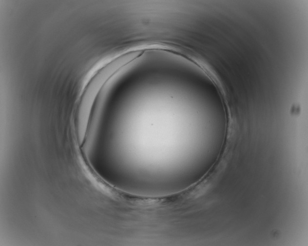 X0000111150813200906301336