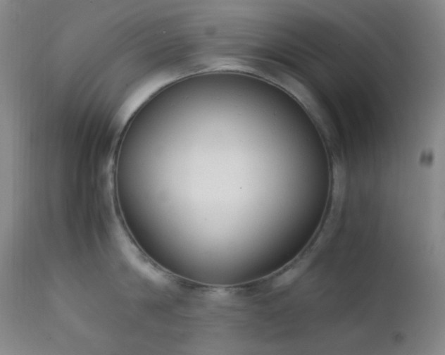 X0000111150814200906301336