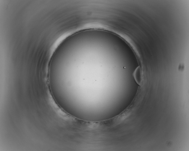 X0000111150815200906301336
