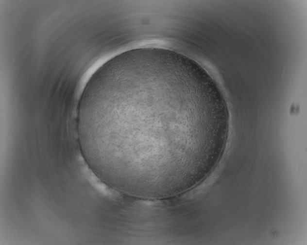 X0000111150816200906301336