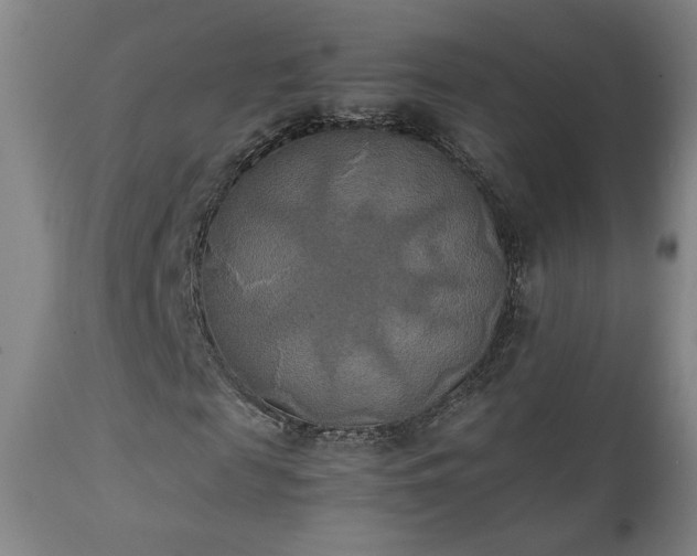 X0000111150817200906301335