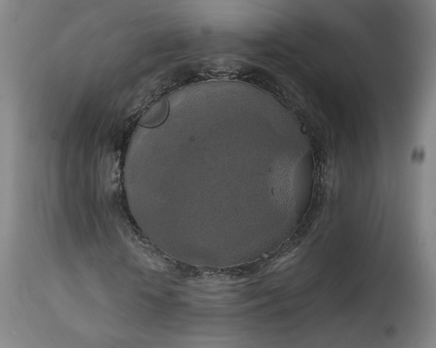 X0000111150818200906301335