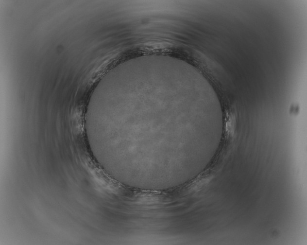 X0000111150819200906301335
