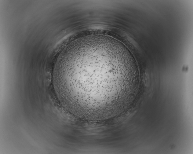 X0000111150821200906301335