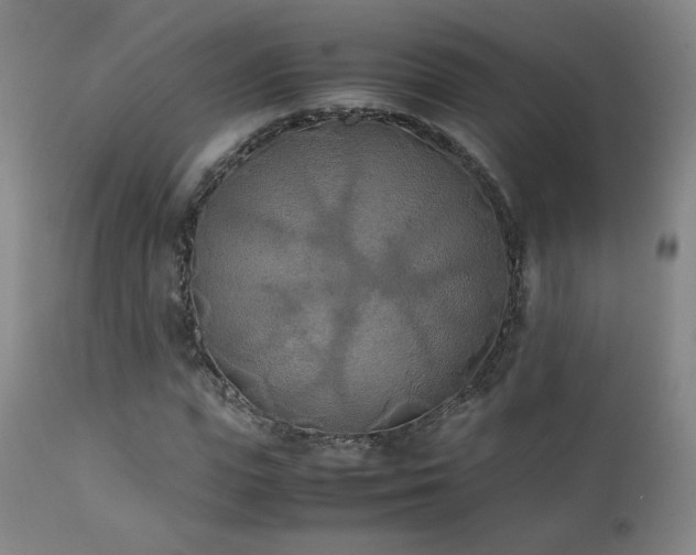 X0000111150823200906301335