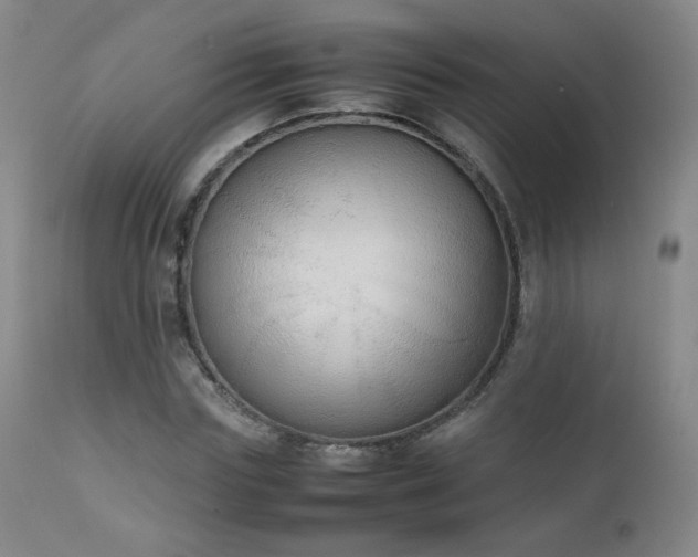 X0000111150827200906301335