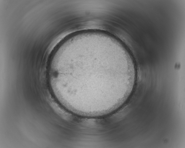 X0000111150828200906301335