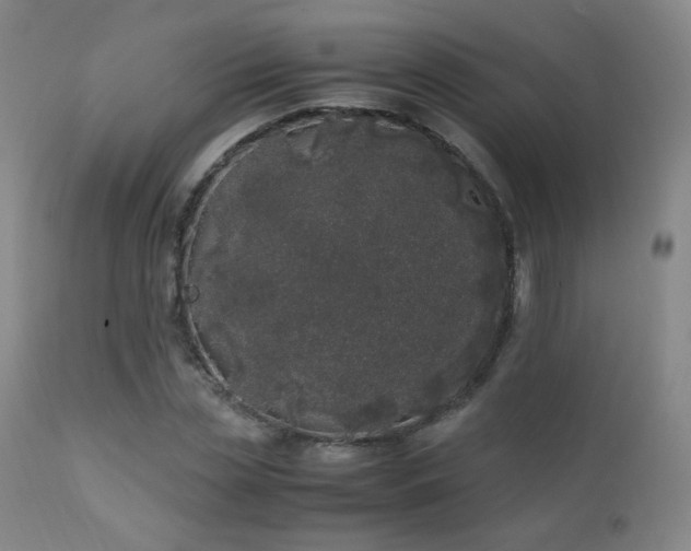 X0000111150829200906301335