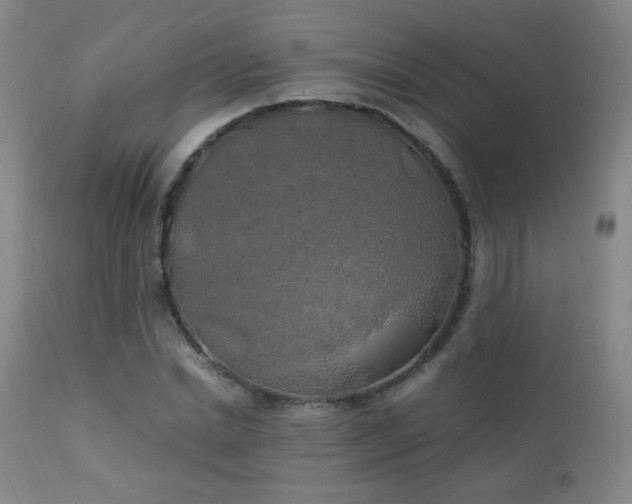 X0000111150830200906301335