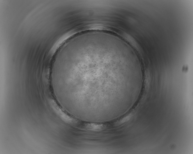 X0000111150831200906301335