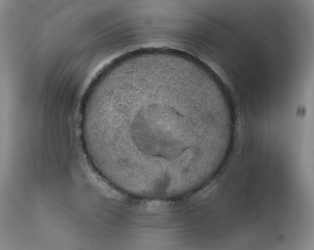 X0000111150832200906301335