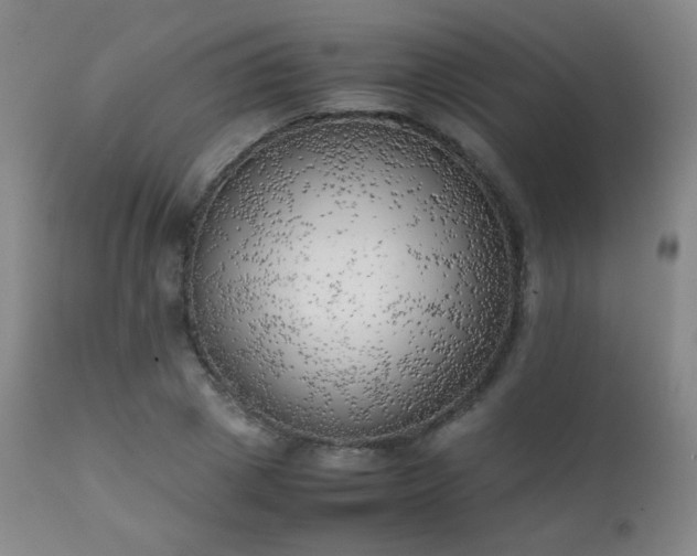 X0000111150833200906301335