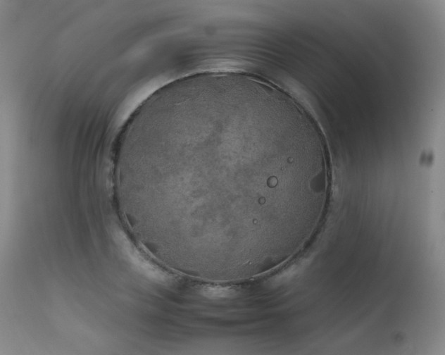 X0000111150835200906301335