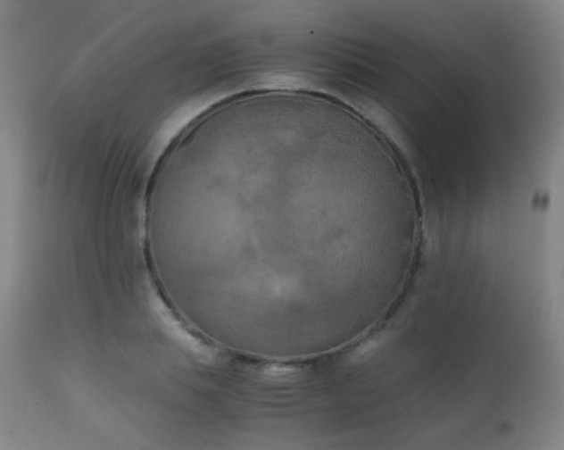 X0000111150839200906301335