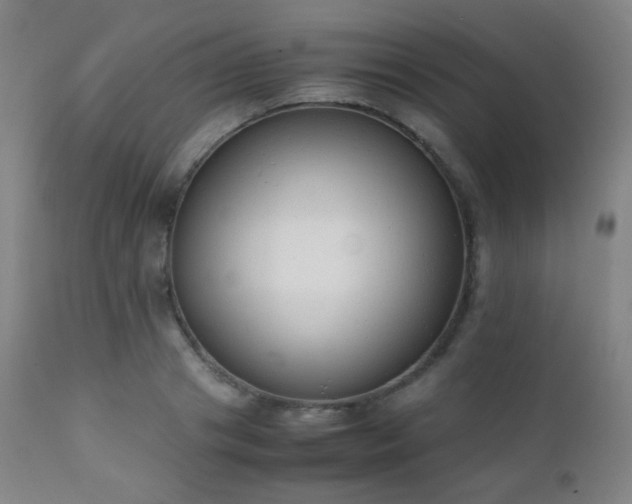 X0000111150841200906301335