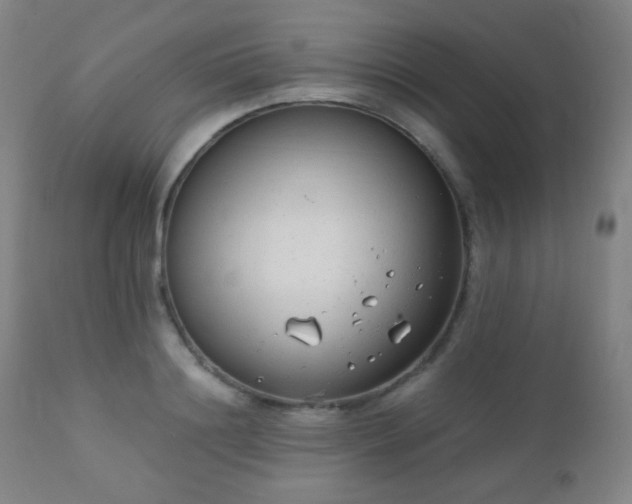 X0000111150844200906301335