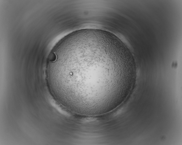 X0000111150846200906301335