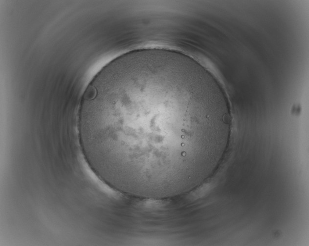 X0000111150847200906301335