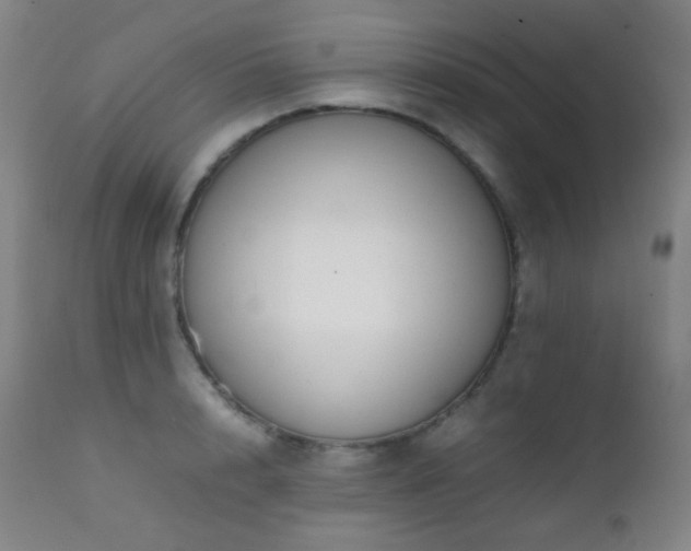 X0000111150848200906301335