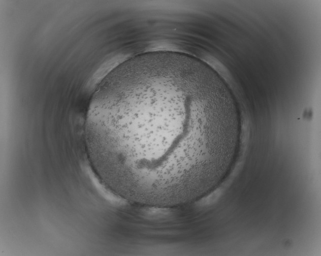 X0000111150849200906301335