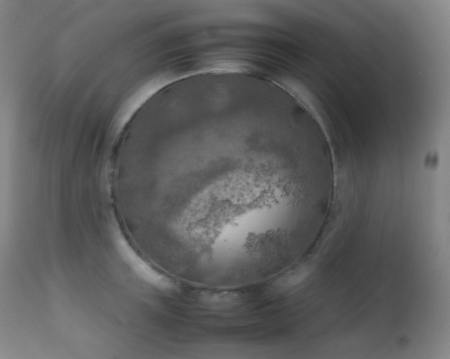 X0000111150851200906301335