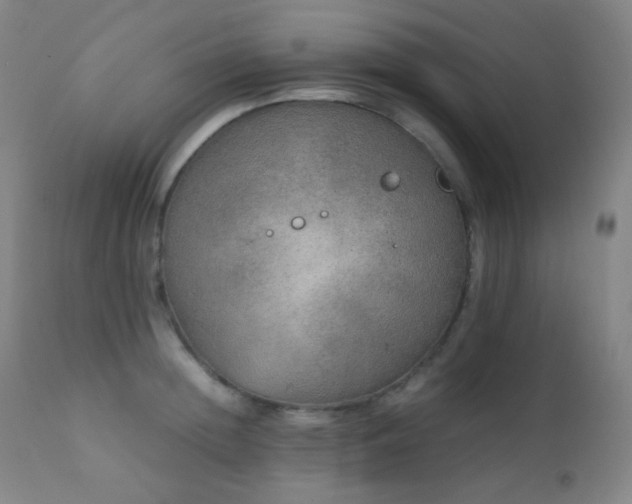 X0000111150852200906301335