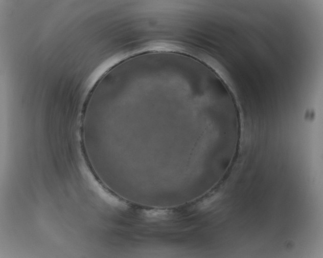 X0000111150853200906301335