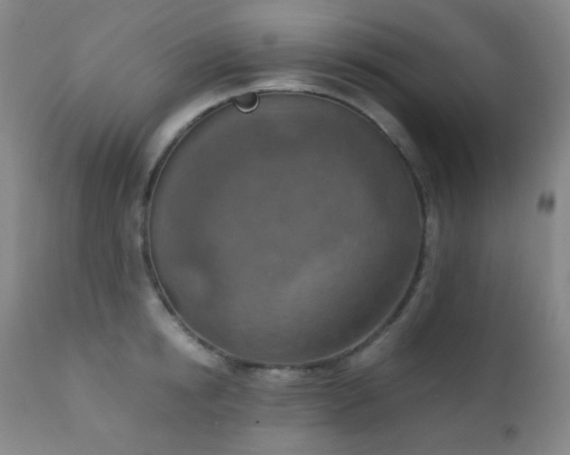 X0000111150854200906301335