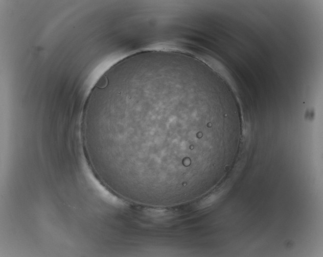 X0000111150855200906301335