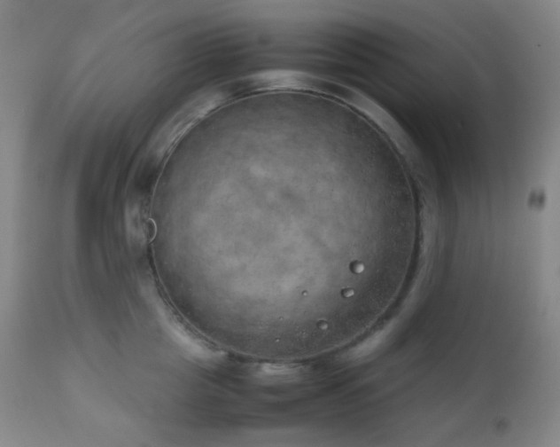 X0000111150857200906301335