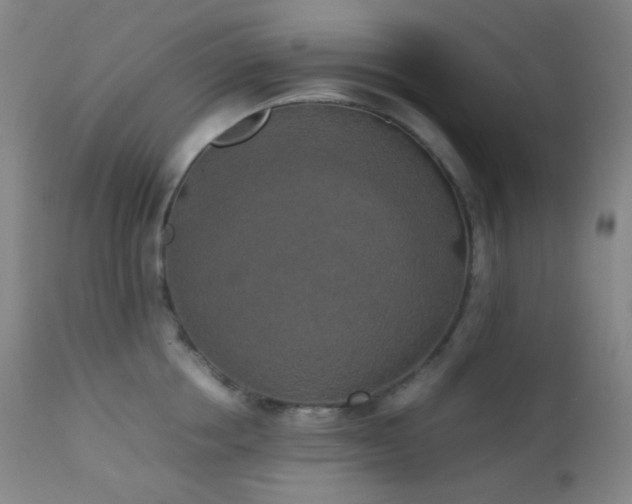 X0000111150858200906301335