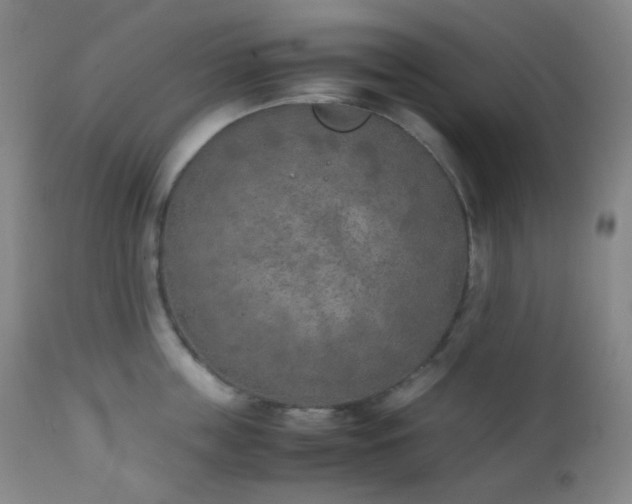 X0000111150859200906301335