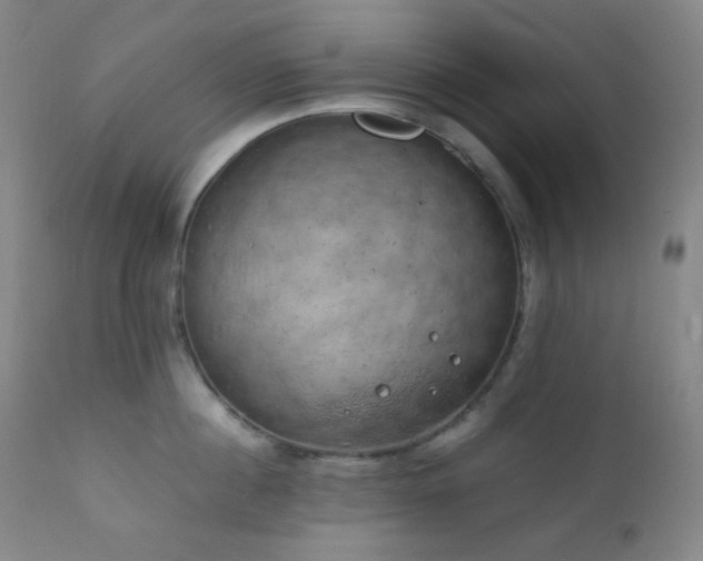X0000111150860200906301335