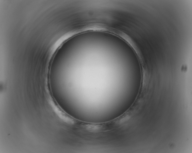 X0000111150861200906301336