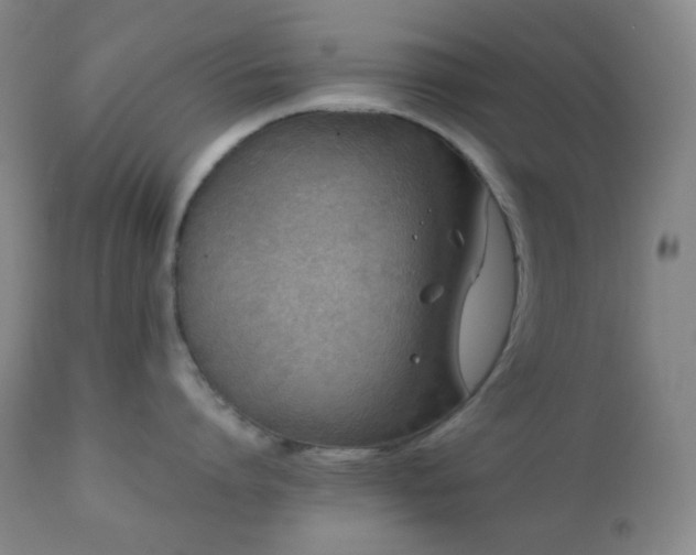 X0000111150864200906301336