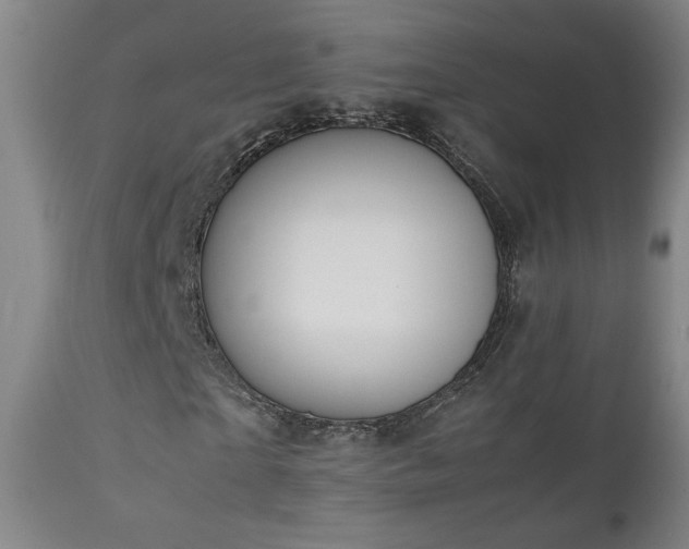 X0000111150865200906301335