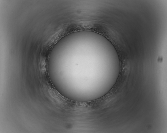 X0000111150866200906301335