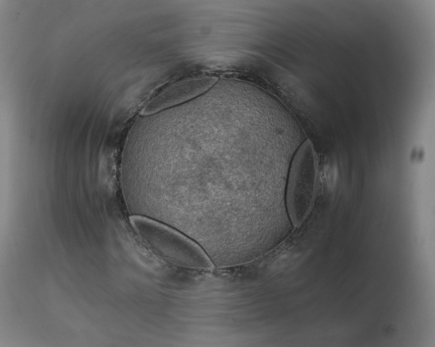 X0000111150868200906301335