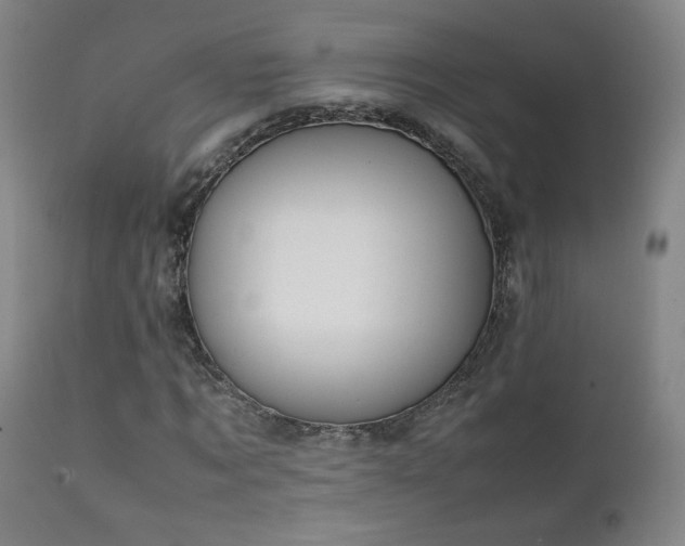 X0000111150869200906301335