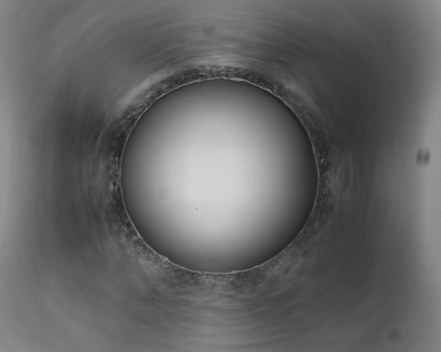 X0000111150870200906301335