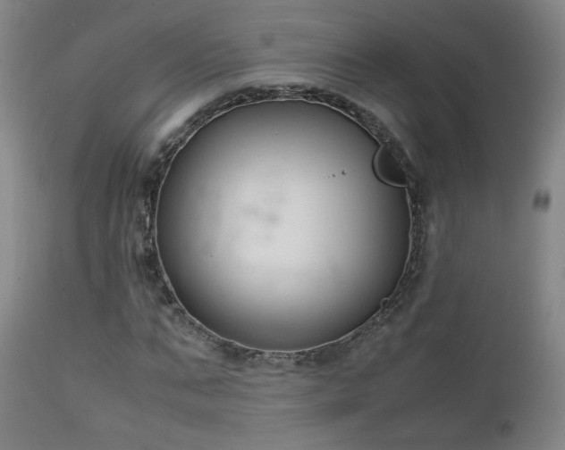 X0000111150871200906301335