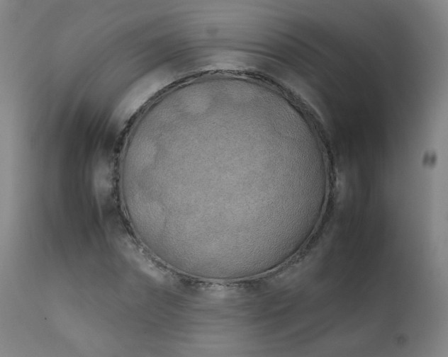 X0000111150874200906301335