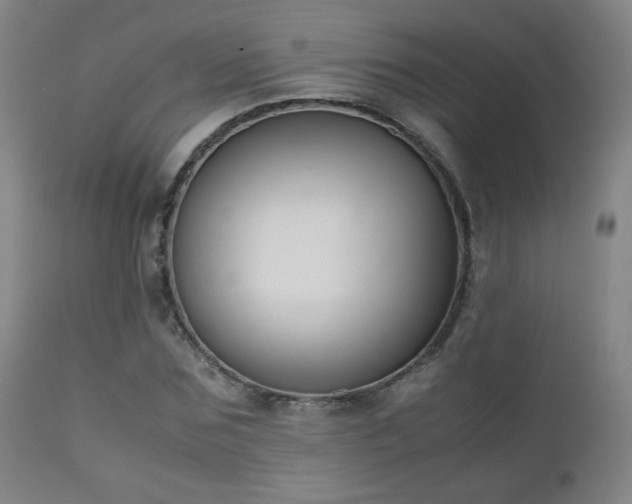 X0000111150875200906301335