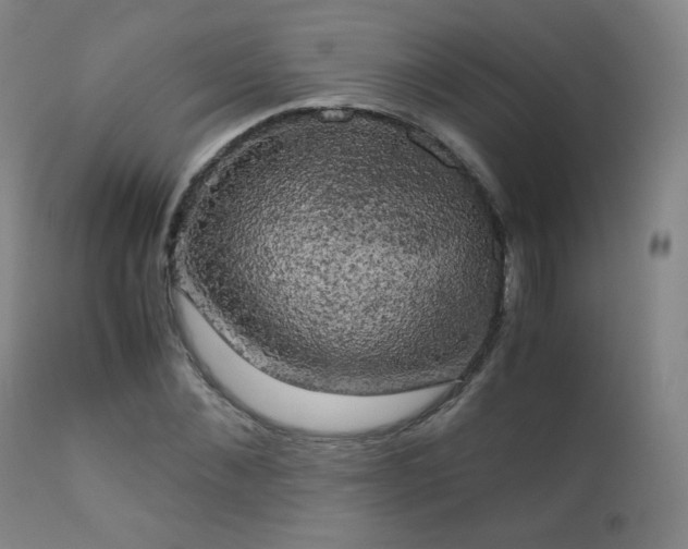 X0000111150876200906301335
