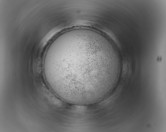 X0000111150878200906301335