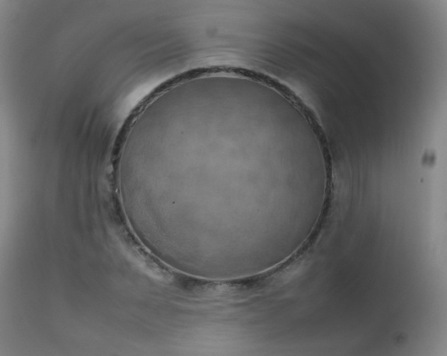 X0000111150879200906301335
