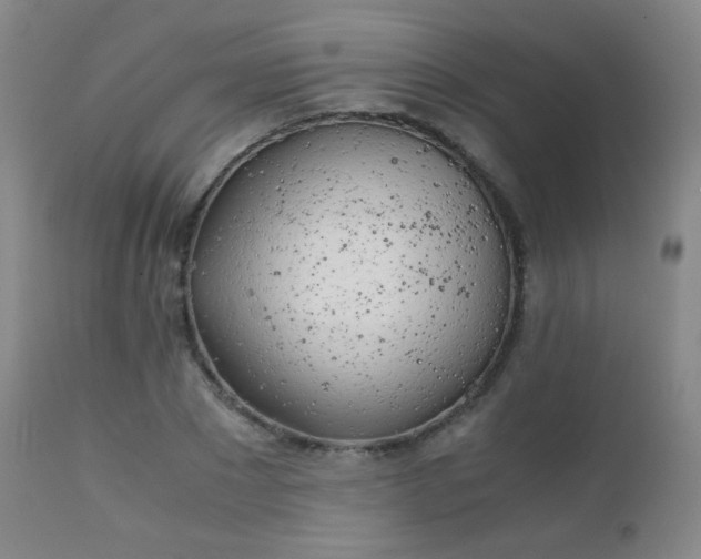 X0000111150881200906301335